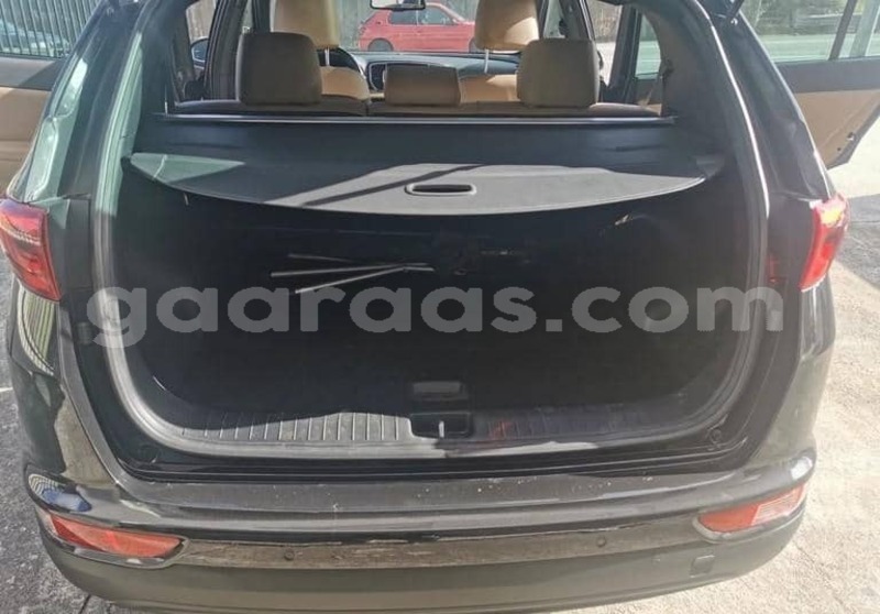Big with watermark kia sportage kolda dabo 34100