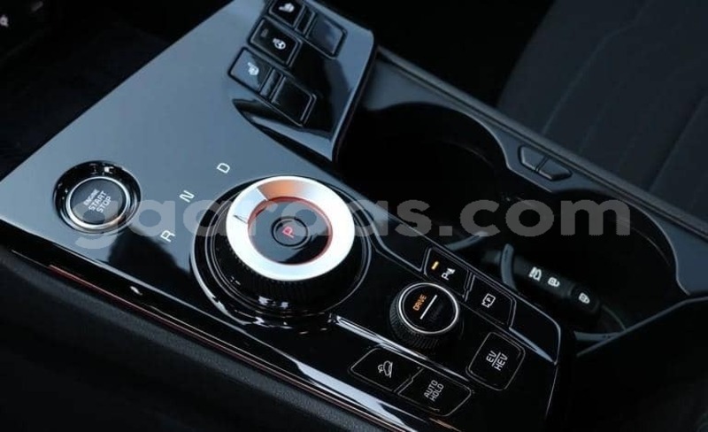 Big with watermark kia sportage saint louis dagana 34106
