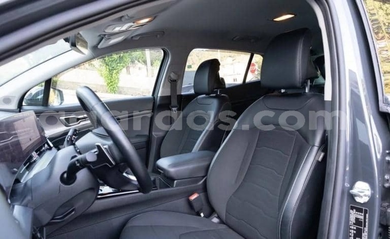 Big with watermark kia sportage saint louis dagana 34106