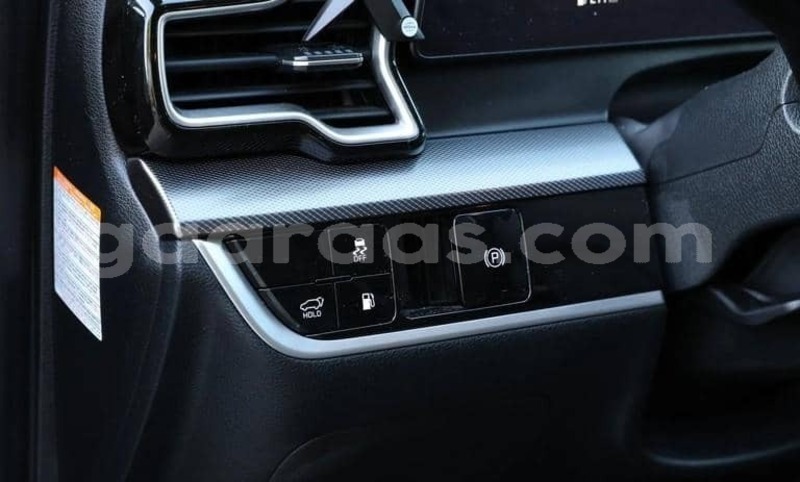 Big with watermark kia sportage saint louis dagana 34106