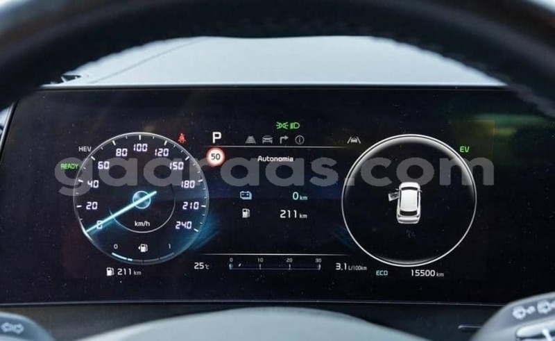 Big with watermark kia sportage saint louis dagana 34106