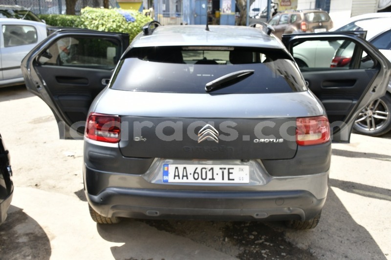 Big with watermark citroen c4 cactus dakar dakar 34111