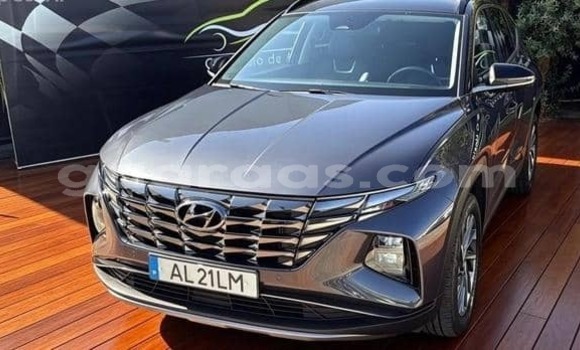Dieundeu Occasion Hyundai Tucson Silver Auto in Dagana in Saint-Louis