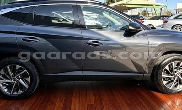 Acheter Occasion Voiture Hyundai Tucson Gris à Dagana, Saint-Louis Acheter Occasion Voiture Hyundai Tucson Gris à Dagana, Saint-Louis