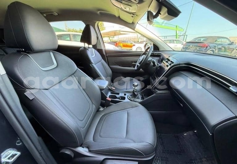 Big with watermark hyundai tucson saint louis dagana 34114