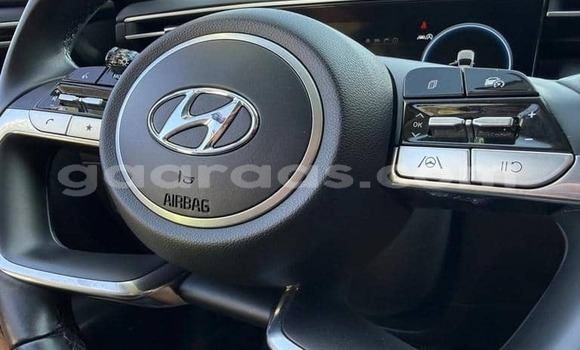 Acheter Occasion Voiture Hyundai Tucson Gris à Dagana, Saint-Louis Acheter Occasion Voiture Hyundai Tucson Gris à Dagana, Saint-Louis