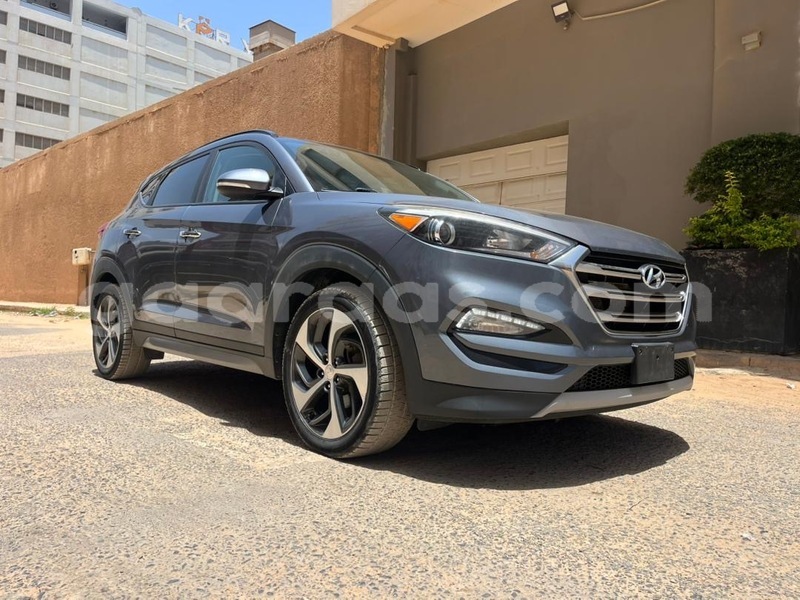 Big with watermark hyundai tucson dakar dakar 34132