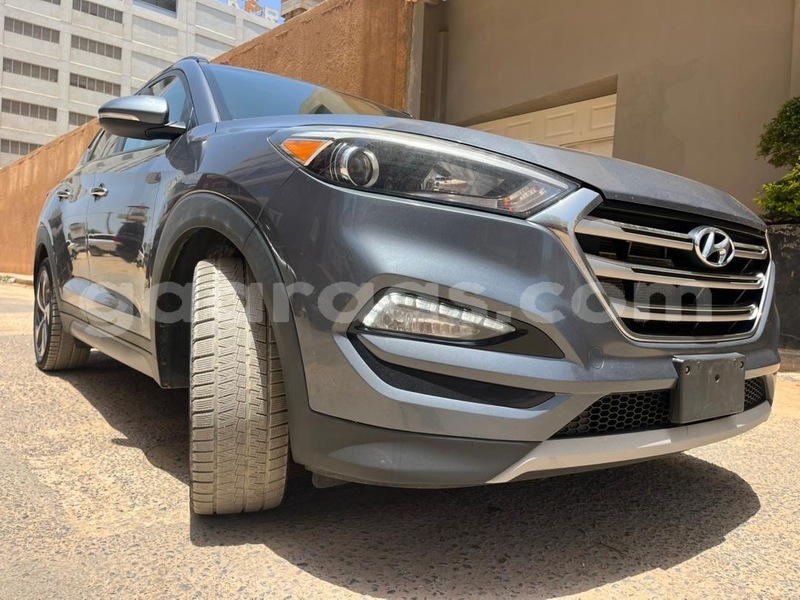 Big with watermark hyundai tucson dakar dakar 34132