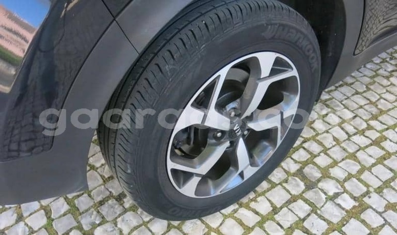 Big with watermark kia sportage dakar dakar 34136