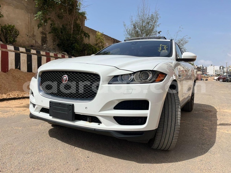 Big with watermark jaguar f pace dakar dakar 34138