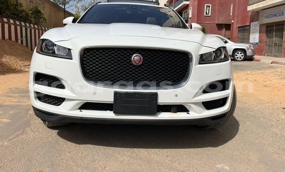 Buy Used Jaguar F-Pace White Car in Dakar in Dakar Buy Used Jaguar F-Pace White Car in Dakar in Dakar