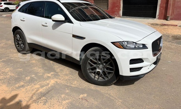Buy Used Jaguar F-Pace White Car in Dakar in Dakar Buy Used Jaguar F-Pace White Car in Dakar in Dakar