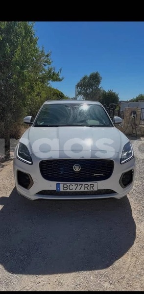 Big with watermark jaguar e pace dakar dakar 34154