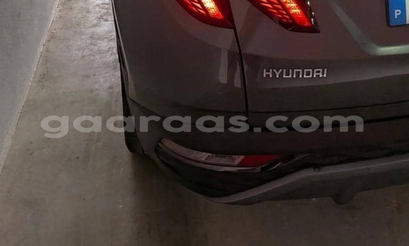 Buy Used Hyundai Tucson Silver Car in Dabo in Kolda Buy Used Hyundai Tucson Silver Car in Dabo in Kolda