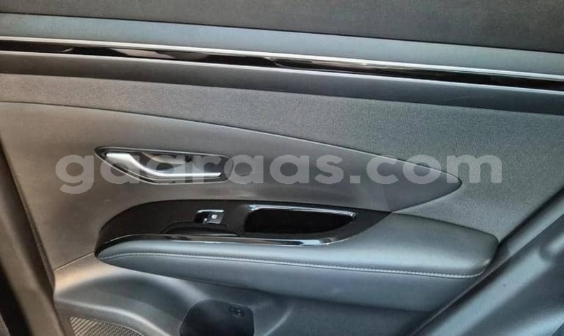 Big with watermark hyundai tucson dakar dakar 34193