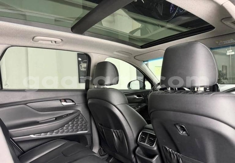 Big with watermark hyundai santa fe kolda dabo 34201