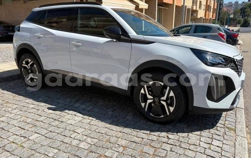 Big with watermark peugeot 2008 kolda dabo 34237