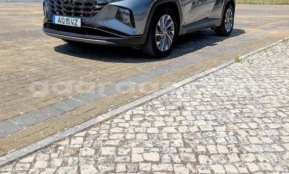 Buy Used Hyundai Tucson Silver Car in Dabo in Kolda Buy Used Hyundai Tucson Silver Car in Dabo in Kolda