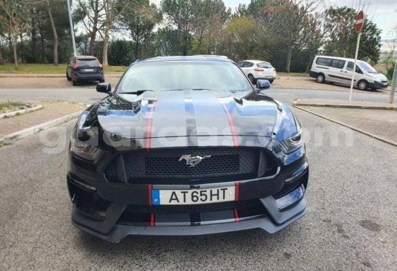 Big with watermark ford mustang saint louis dagana 34243