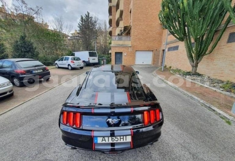 Big with watermark ford mustang saint louis dagana 34243
