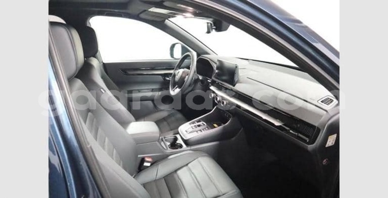 Big with watermark honda cr v dakar dakar 34252