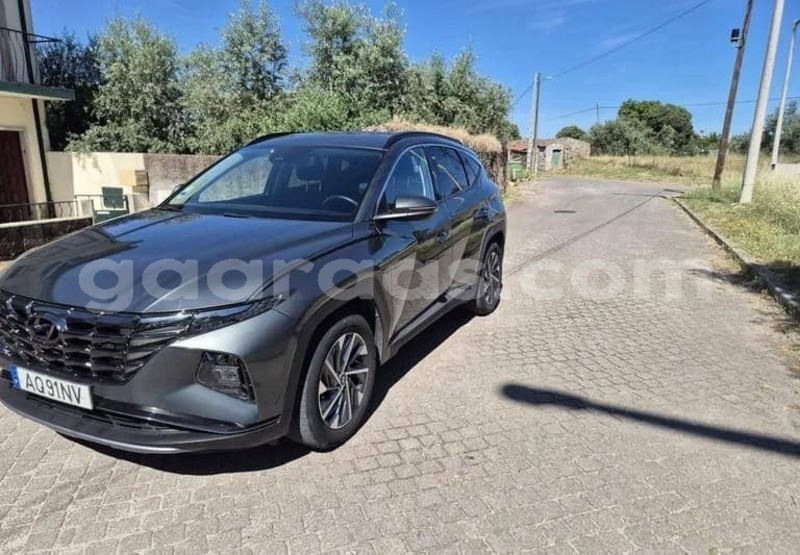 Big with watermark hyundai tucson kolda dabo 34265