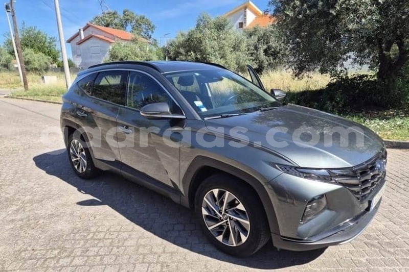Big with watermark hyundai tucson kolda dabo 34265