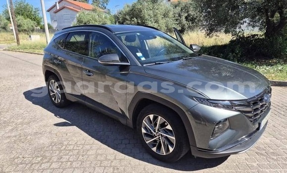 Dieundeu Occasion Hyundai Tucson Silver Auto in Dabo in Kolda Dieundeu Occasion Hyundai Tucson Silver Auto in Dabo in Kolda
