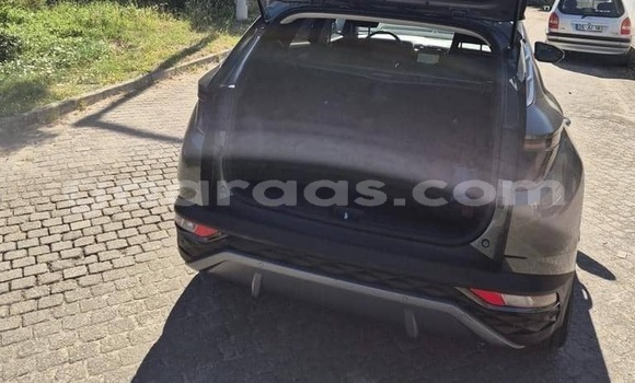 Dieundeu Occasion Hyundai Tucson Silver Auto in Dabo in Kolda Dieundeu Occasion Hyundai Tucson Silver Auto in Dabo in Kolda