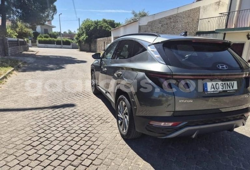 Big with watermark hyundai tucson kolda dabo 34265