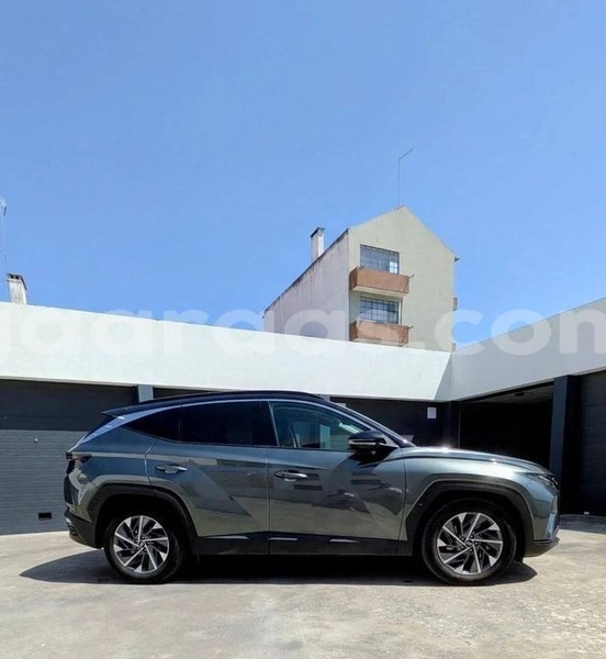 Big with watermark hyundai tucson kolda dabo 34272