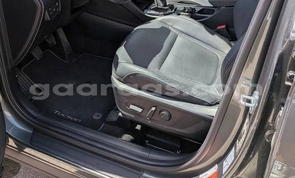Buy Used Hyundai Tucson Silver Car in Dabo in Kolda Buy Used Hyundai Tucson Silver Car in Dabo in Kolda