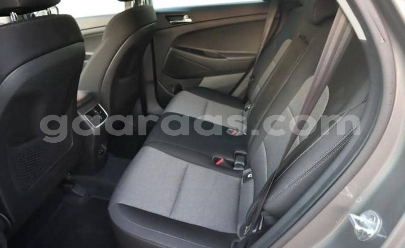 Big with watermark hyundai tucson kolda dabo 34285