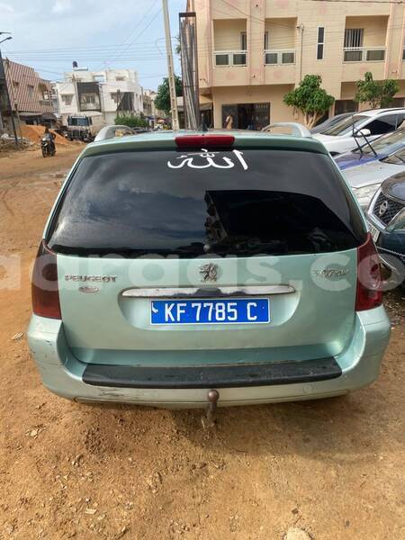Big with watermark peugeot 307 dakar dakar 34288