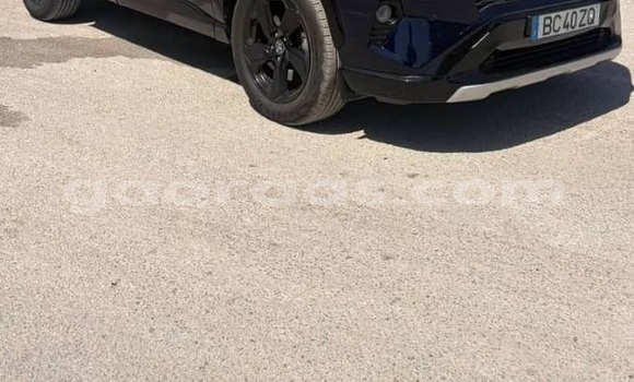 Acheter Occasion Voiture Toyota Rav 4 Noir à Dabo, Kolda