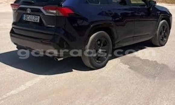 Dieundeu Occasion Toyota Rav 4 Black Auto in Dabo in Kolda Dieundeu Occasion Toyota Rav 4 Black Auto in Dabo in Kolda
