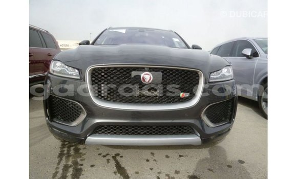 Acheter Import Voiture Jaguar F-Type Noir à Import - Dubai, Dakar Acheter Import Voiture Jaguar F-Type Noir à Import - Dubai, Dakar