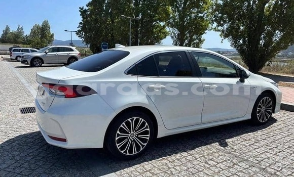 Acheter Occasion Voiture Toyota Corolla Blanc à Dabo, Kolda Acheter Occasion Voiture Toyota Corolla Blanc à Dabo, Kolda