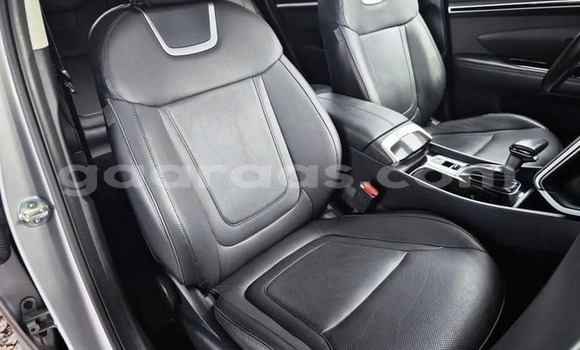 Acheter Occasion Voiture Hyundai Tucson Gris à Dabo, Kolda Acheter Occasion Voiture Hyundai Tucson Gris à Dabo, Kolda