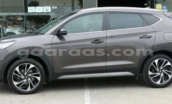 Acheter Occasion Voiture Hyundai Tucson Gris à Dabo, Kolda Acheter Occasion Voiture Hyundai Tucson Gris à Dabo, Kolda