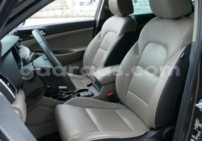 Big with watermark hyundai tucson kolda dabo 34346