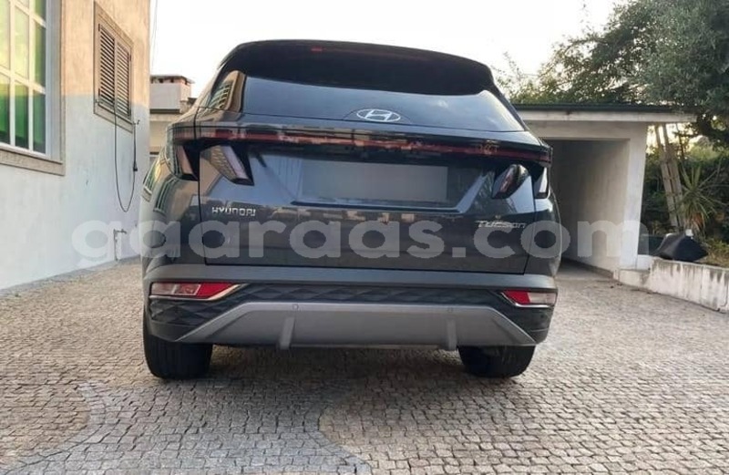 Big with watermark hyundai tucson kolda dabo 34347