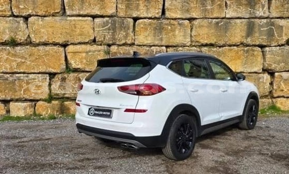 Acheter Occasion Voiture Hyundai Tucson Blanc à Dabo, Kolda Acheter Occasion Voiture Hyundai Tucson Blanc à Dabo, Kolda