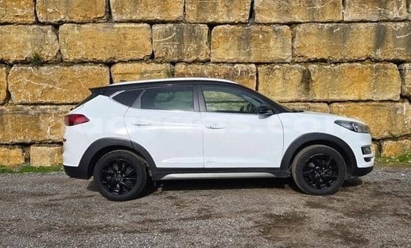 Acheter Occasion Voiture Hyundai Tucson Blanc à Dabo, Kolda Acheter Occasion Voiture Hyundai Tucson Blanc à Dabo, Kolda