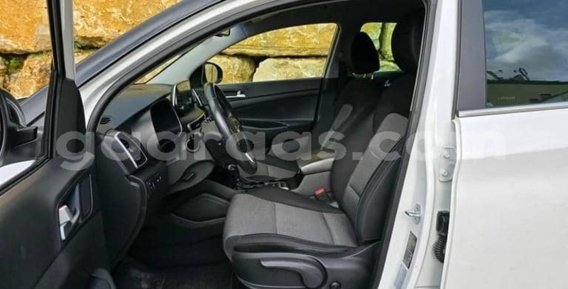 Big with watermark hyundai tucson kolda dabo 34348