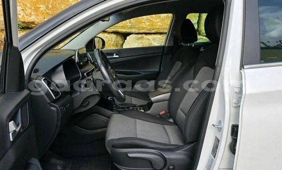 Acheter Occasion Voiture Hyundai Tucson Blanc à Dabo, Kolda Acheter Occasion Voiture Hyundai Tucson Blanc à Dabo, Kolda