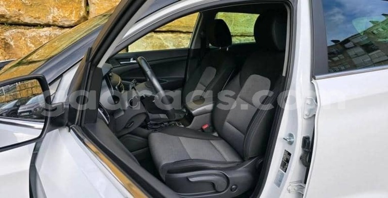Big with watermark hyundai tucson kolda dabo 34348