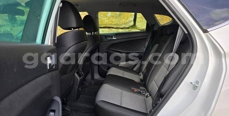 Big with watermark hyundai tucson kolda dabo 34348