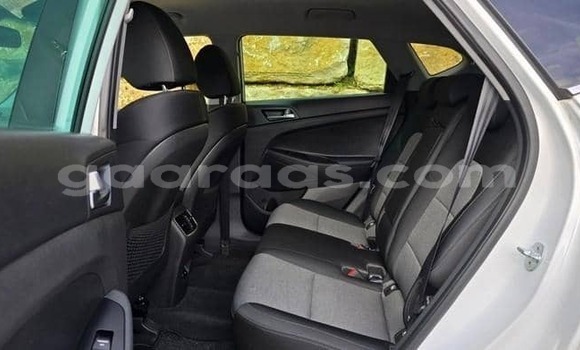 Acheter Occasion Voiture Hyundai Tucson Blanc à Dabo, Kolda Acheter Occasion Voiture Hyundai Tucson Blanc à Dabo, Kolda