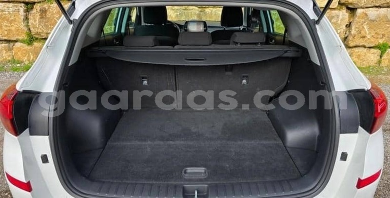Big with watermark hyundai tucson kolda dabo 34348